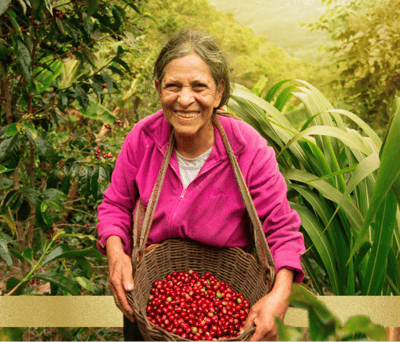 Bäuerin bei der Kaffeeernte